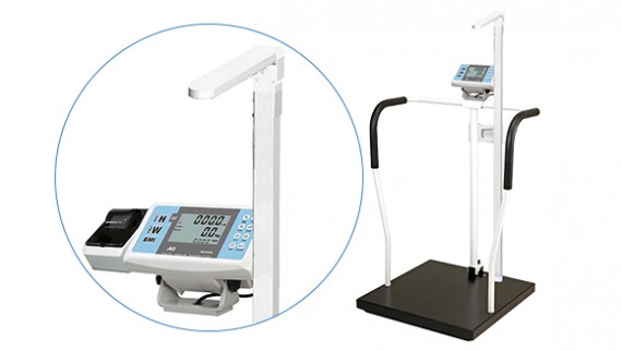 Weight and BMI Scales 580 x 330