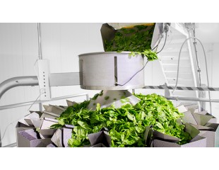 Southern Fresh block 580 x 330