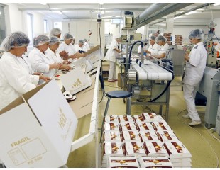 Food Processing Manufacturing