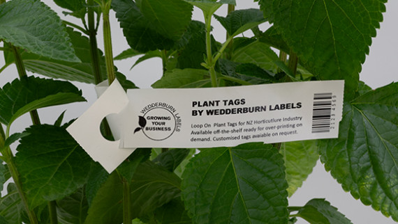 Loop_On_Plant_Labels_580 x 330