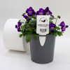 Blank Plant Pot Tags for Nurseries | Wedderburn NZ