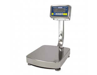 WS213SS-Check-Weighing-Bench-Scale