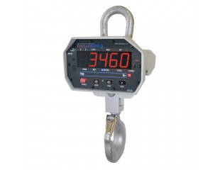 MSI3460 Crane Scale