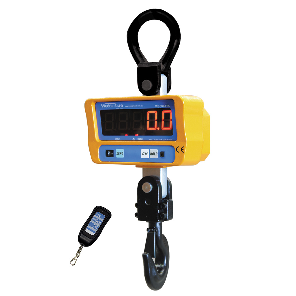 WS600 Crane Scale with remote