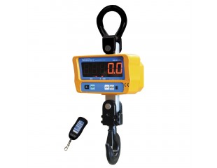 WS600 Crane Scale with remote