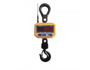WS601RF Crane Scale front