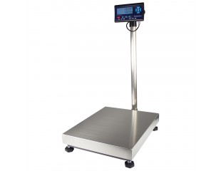 WS207PMS Platform Scale