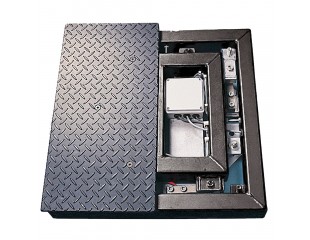 WS004SBHC Heavy Duty Platform Scale Dual Frame